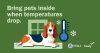 Bring pets inside when temperatures drop. 